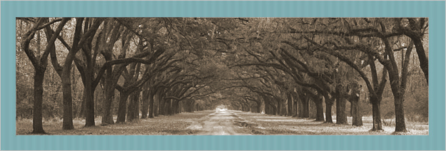 Rinehart Wealth Management